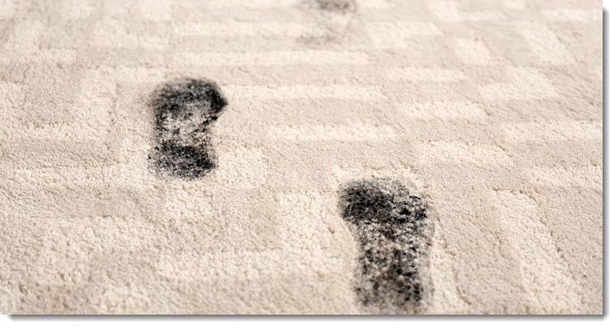 Upper Valley Carpet Cleaning Service