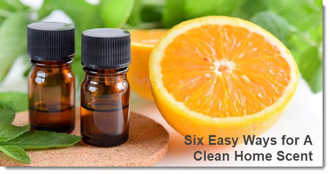 Six Easy Ways for A Clean Home Scent