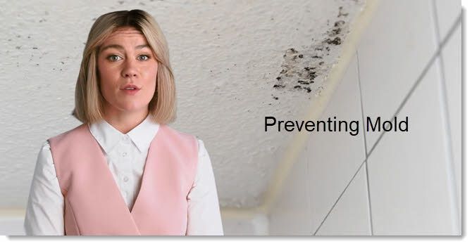 Preventing Mold In Your Bathroom - Home Cleaning Tips