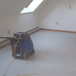 Carpet Cleaning