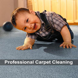 Professional Carpet Cleaning