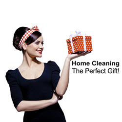 Home Cleaning - The Perfect Gift