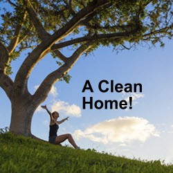 Benefits of Professional Home Cleaning