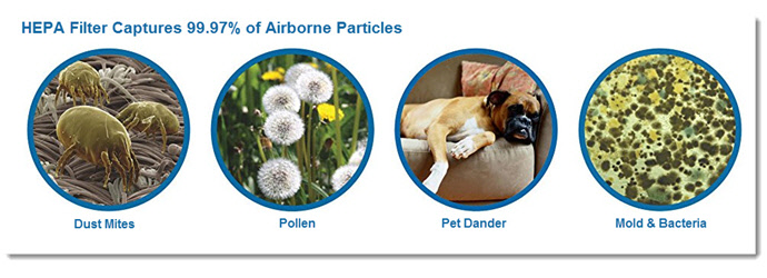 Home Air Purifiers - HEPA Filters