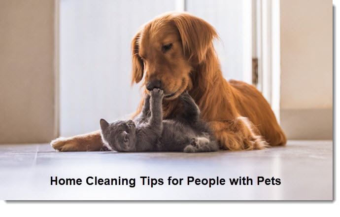 Home Cleaning Tips for People with Pets