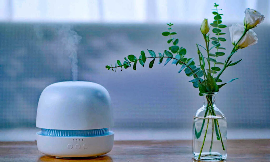 Upper Valley home Cleaning Service - Essential Oil Diffusers