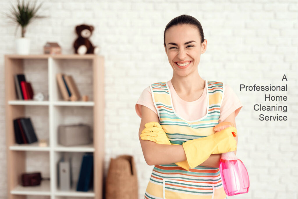 Professional Home Cleaning Service - Home Cleaning of the Upper Valley