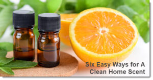 Six Easy Ways for A Clean Home Scent