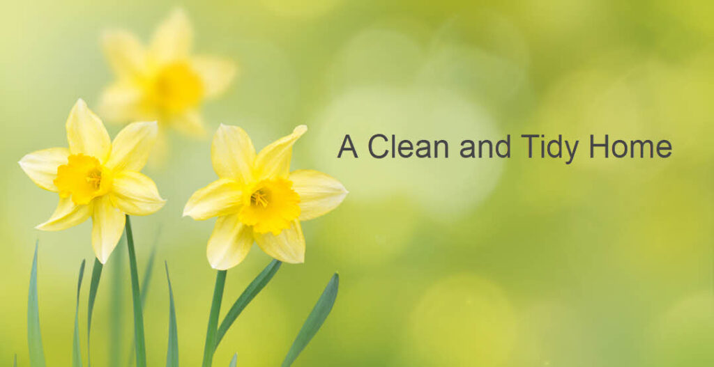 A Clean and Tidy Home for You To Enjoy