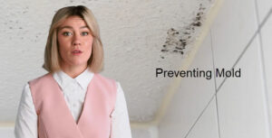 Preventing Mold - Home Cleaning Video