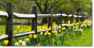 Spring Cleaning in Hartland Vermont
