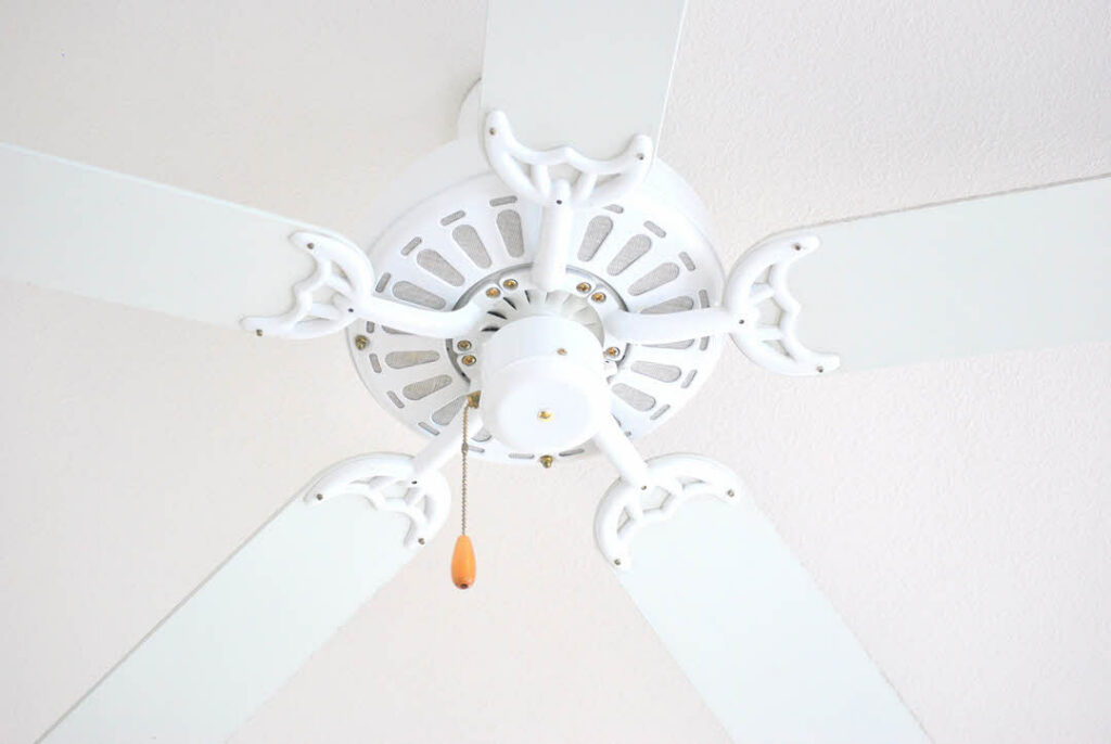 Clean Your Ceiling Fans